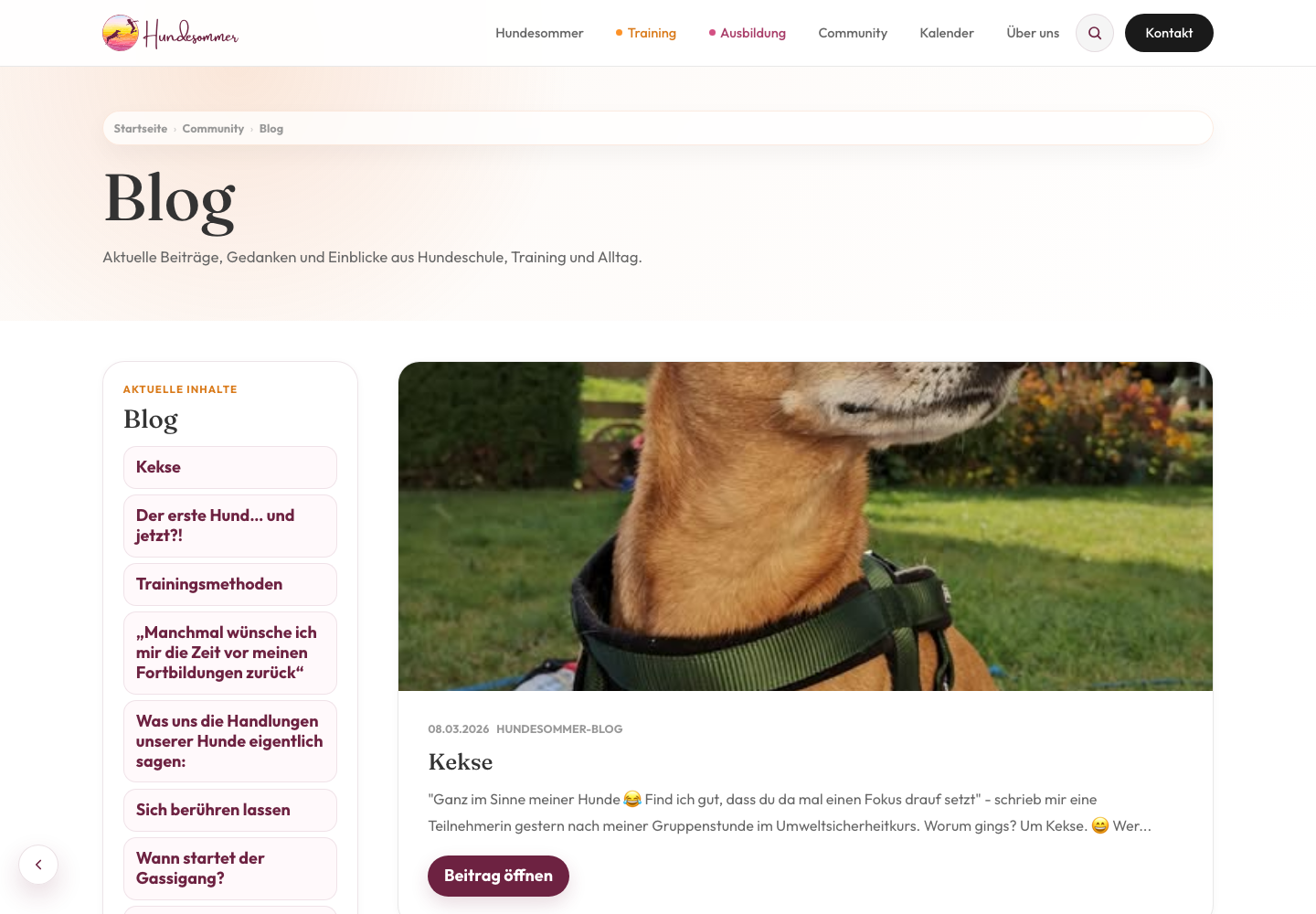 Finale Hundesommer Blogansicht auf Desktop