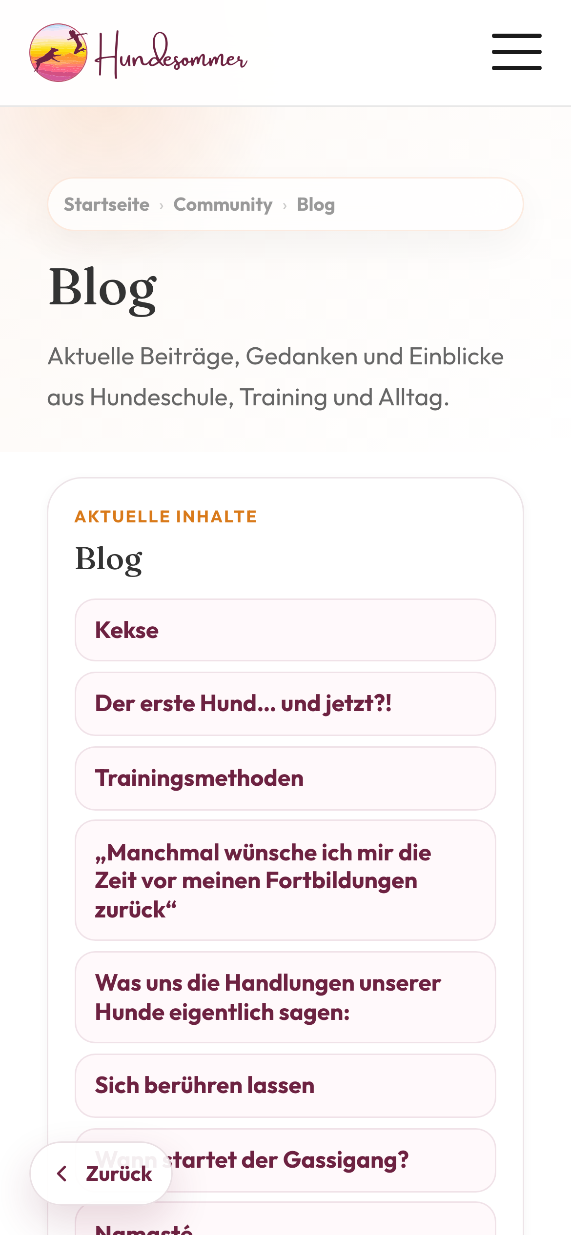 Finale Hundesommer Blogansicht auf einem Mobilgerät