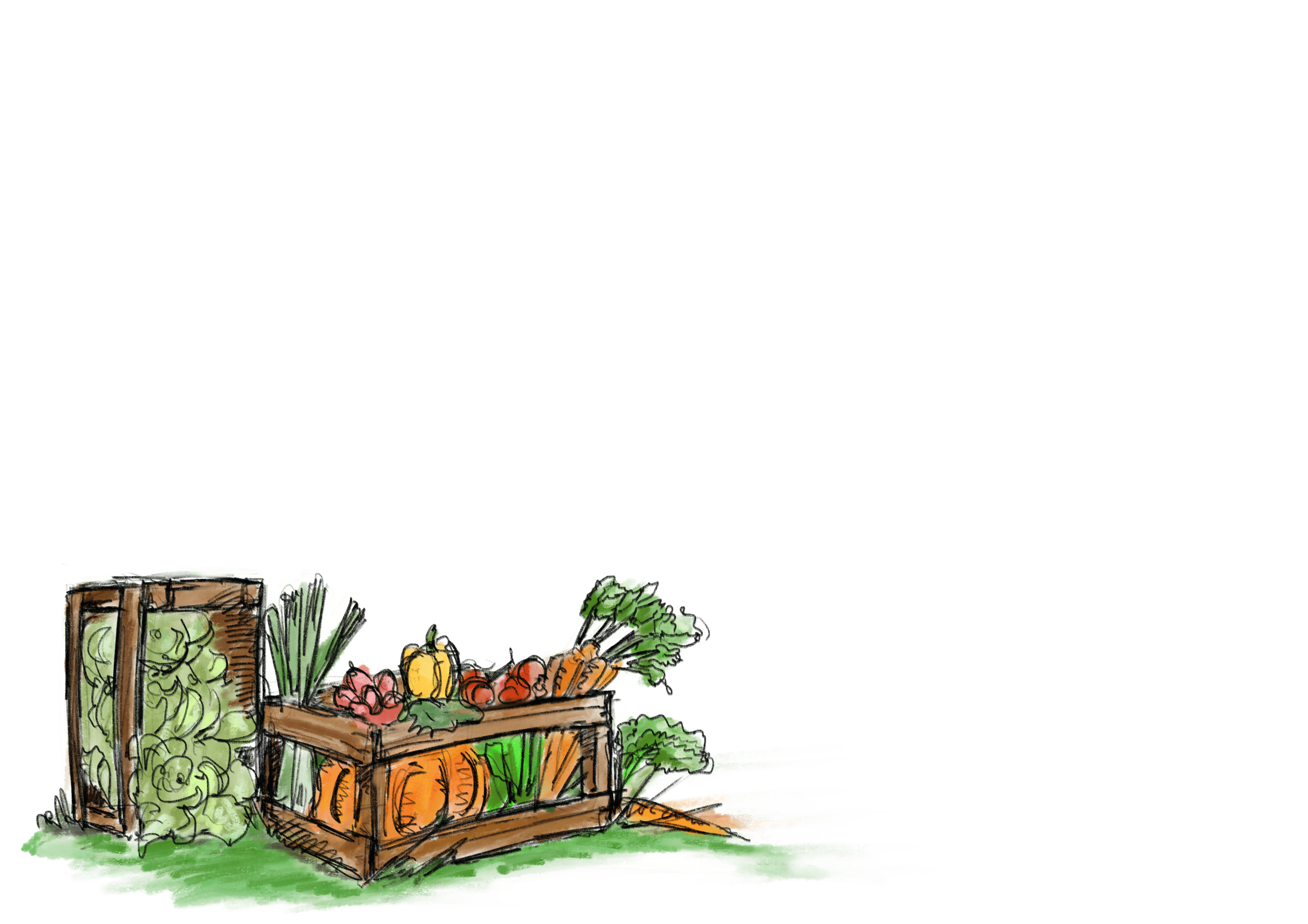 Ansicht einer Illustration aus dem Projekt Buntes Grün