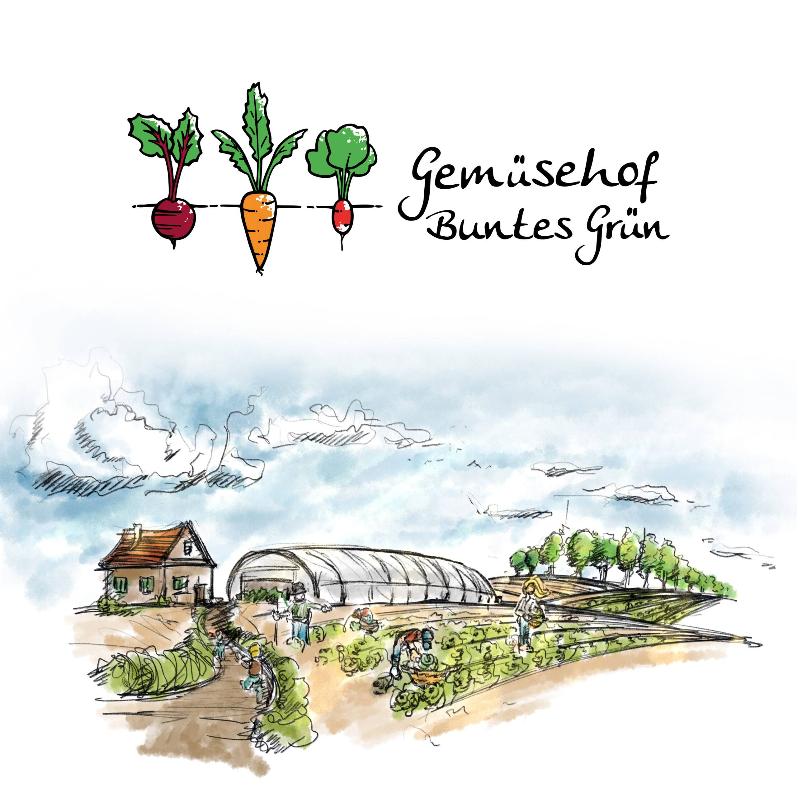 Gemüsehof Buntes Grün Marken- und Webdesign