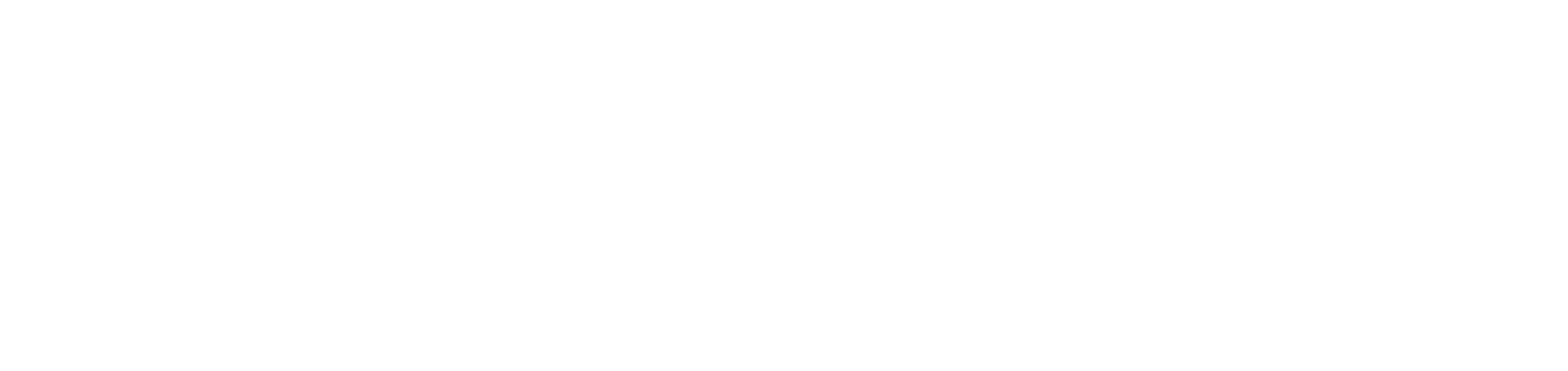 Waldhaus Logo OHNE Untertitel WEISS